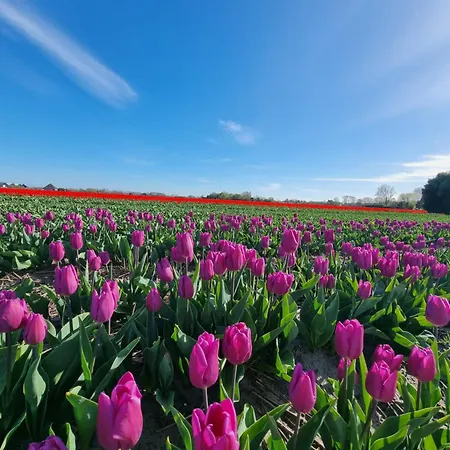 De Blokhut Дом отдыха *